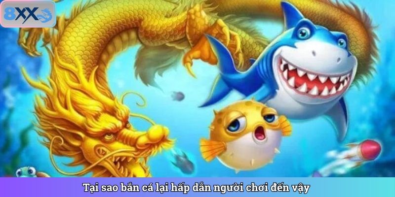Tìm hiểu về bắn cá tại nhà cái 8XX