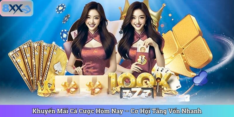 Khuyến Mãi Cá Cược Hôm Nay – Cơ Hội Tăng Vốn Nhanh
